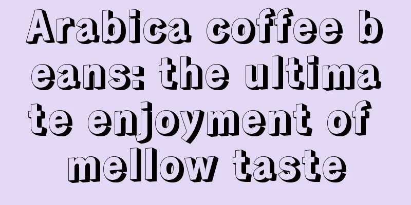 Arabica coffee beans: the ultimate enjoyment of mellow taste