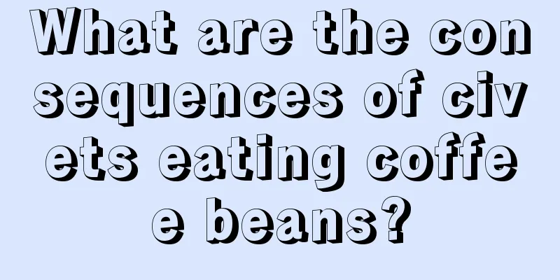 What are the consequences of civets eating coffee beans?