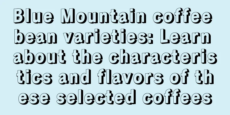 Blue Mountain coffee bean varieties: Learn about the characteristics and flavors of these selected coffees