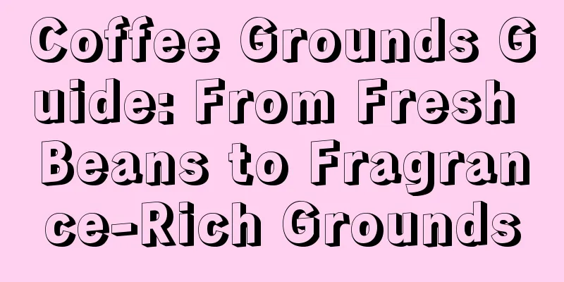 Coffee Grounds Guide: From Fresh Beans to Fragrance-Rich Grounds