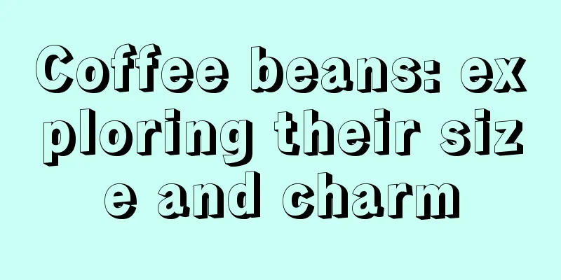 Coffee beans: exploring their size and charm