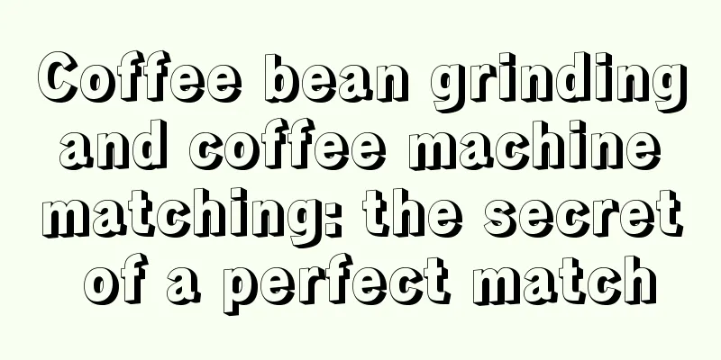 Coffee bean grinding and coffee machine matching: the secret of a perfect match