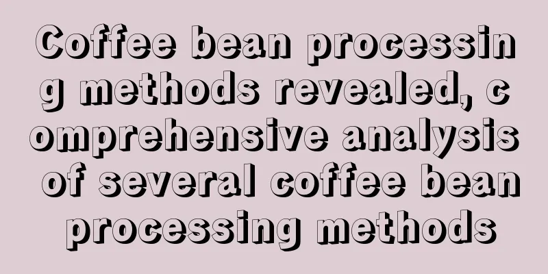 Coffee bean processing methods revealed, comprehensive analysis of several coffee bean processing methods