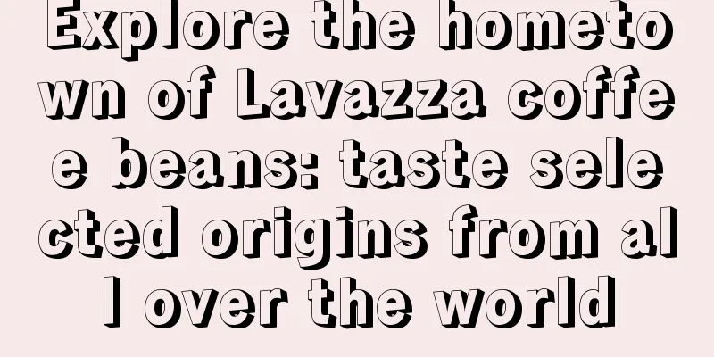 Explore the hometown of Lavazza coffee beans: taste selected origins from all over the world