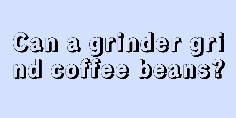 Can a grinder grind coffee beans?