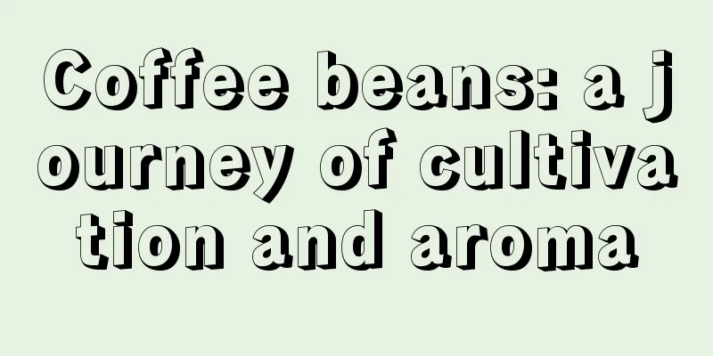 Coffee beans: a journey of cultivation and aroma