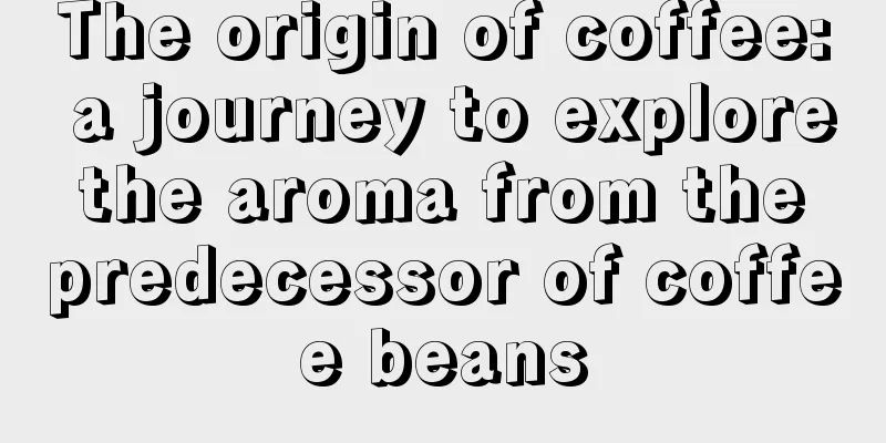 The origin of coffee: a journey to explore the aroma from the predecessor of coffee beans