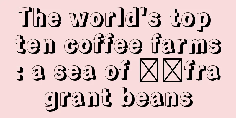 The world's top ten coffee farms: a sea of ​​fragrant beans