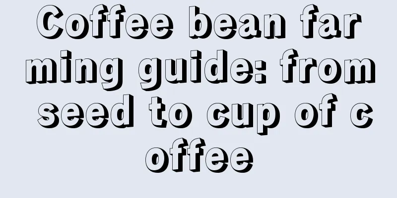 Coffee bean farming guide: from seed to cup of coffee