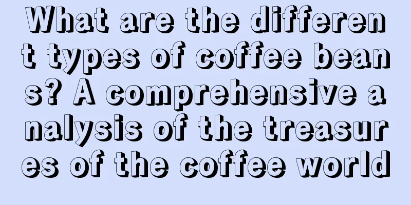 What are the different types of coffee beans? A comprehensive analysis of the treasures of the coffee world