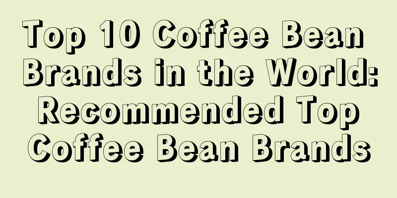 Top 10 Coffee Bean Brands in the World: Recommended Top Coffee Bean Brands