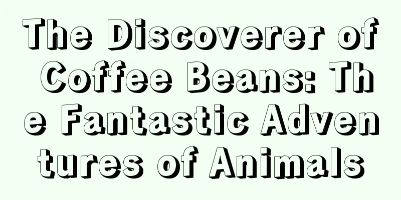 The Discoverer of Coffee Beans: The Fantastic Adventures of Animals