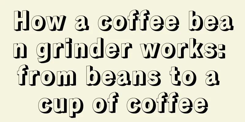 How a coffee bean grinder works: from beans to a cup of coffee