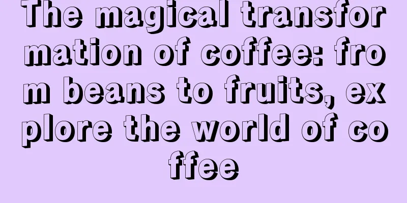 The magical transformation of coffee: from beans to fruits, explore the world of coffee