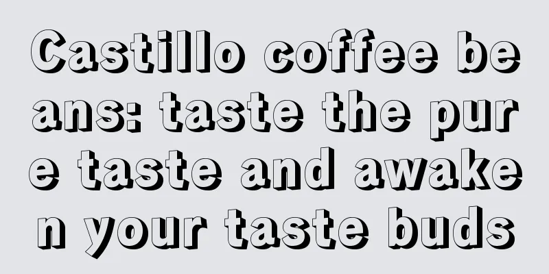 Castillo coffee beans: taste the pure taste and awaken your taste buds