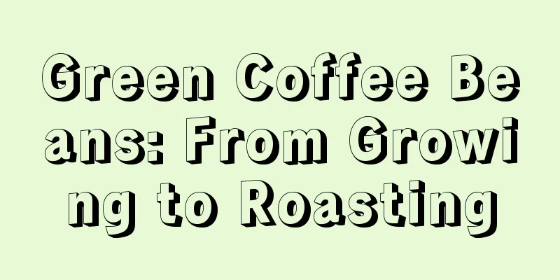 Green Coffee Beans: From Growing to Roasting