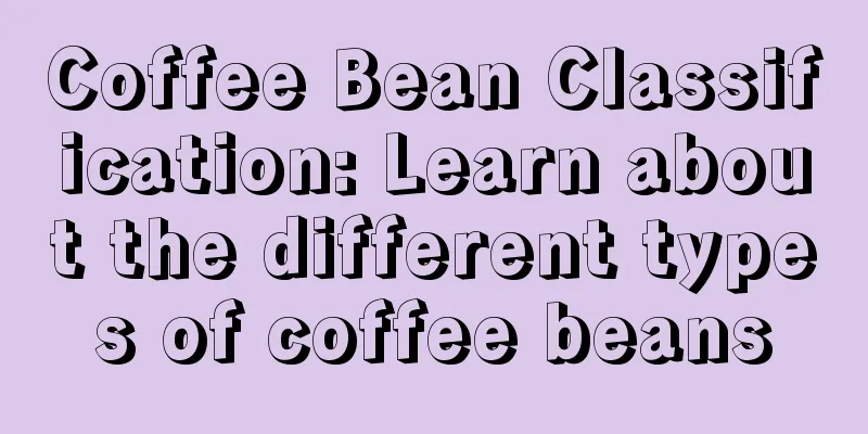 Coffee Bean Classification: Learn about the different types of coffee beans