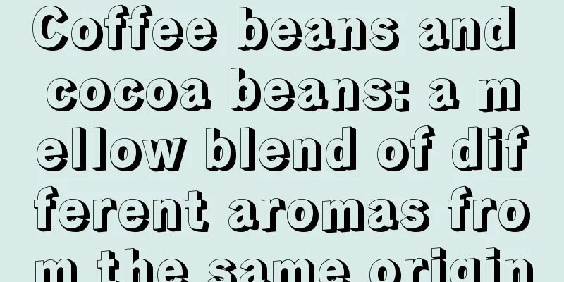 Coffee beans and cocoa beans: a mellow blend of different aromas from the same origin