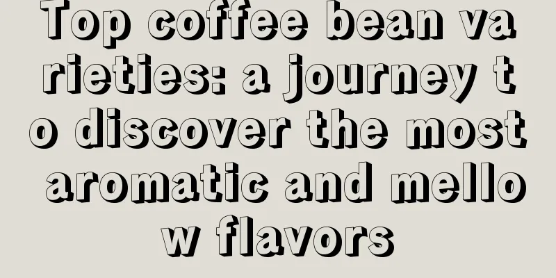 Top coffee bean varieties: a journey to discover the most aromatic and mellow flavors