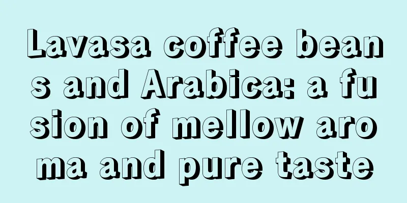 Lavasa coffee beans and Arabica: a fusion of mellow aroma and pure taste