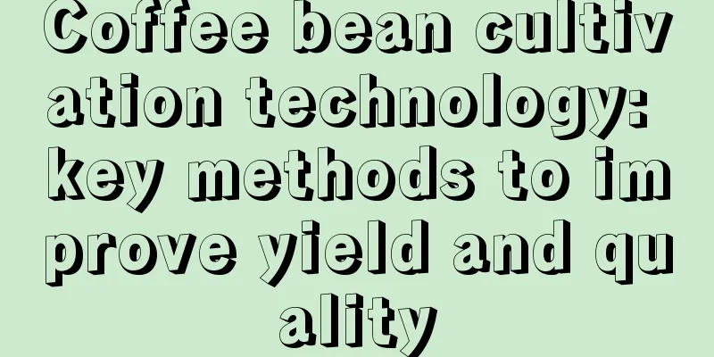 Coffee bean cultivation technology: key methods to improve yield and quality