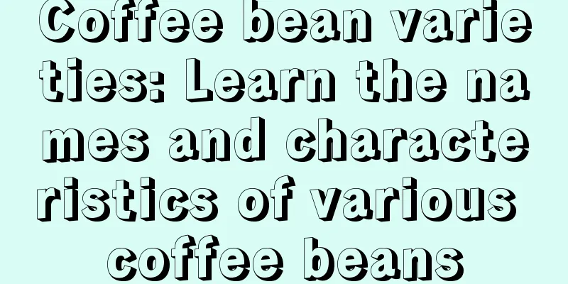 Coffee bean varieties: Learn the names and characteristics of various coffee beans