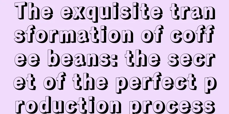 The exquisite transformation of coffee beans: the secret of the perfect production process