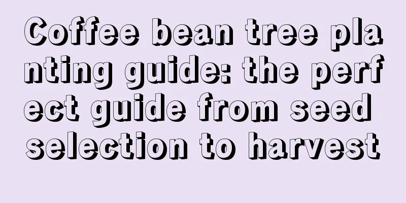 Coffee bean tree planting guide: the perfect guide from seed selection to harvest