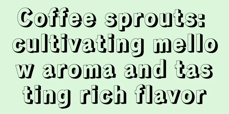 Coffee sprouts: cultivating mellow aroma and tasting rich flavor