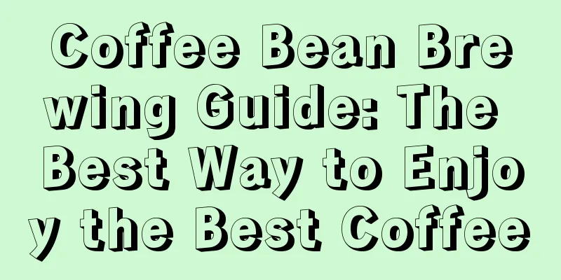 Coffee Bean Brewing Guide: The Best Way to Enjoy the Best Coffee