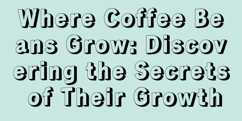 Where Coffee Beans Grow: Discovering the Secrets of Their Growth