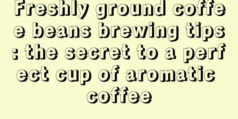 Freshly ground coffee beans brewing tips: the secret to a perfect cup of aromatic coffee