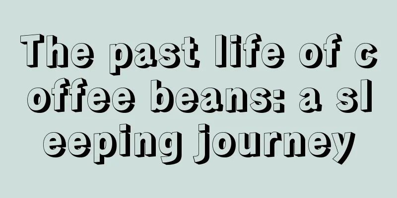 The past life of coffee beans: a sleeping journey