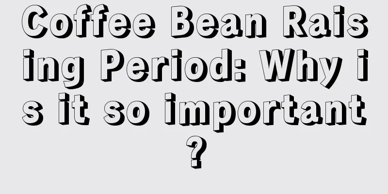 Coffee Bean Raising Period: Why is it so important?