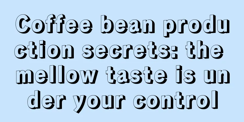 Coffee bean production secrets: the mellow taste is under your control