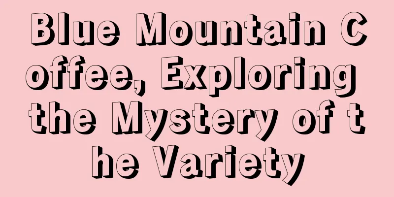 Blue Mountain Coffee, Exploring the Mystery of the Variety