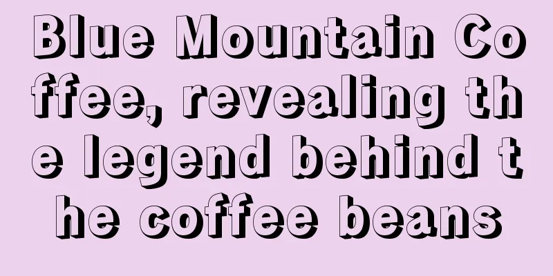 Blue Mountain Coffee, revealing the legend behind the coffee beans