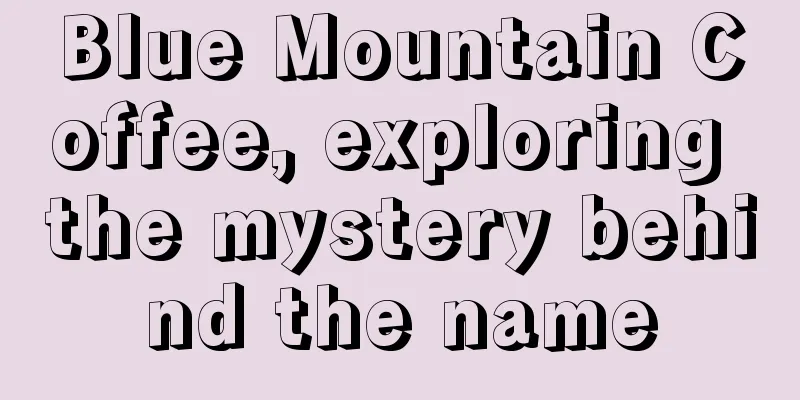 Blue Mountain Coffee, exploring the mystery behind the name