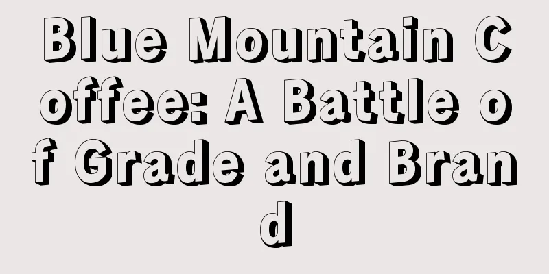 Blue Mountain Coffee: A Battle of Grade and Brand