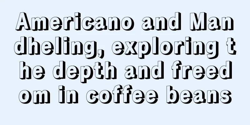 Americano and Mandheling, exploring the depth and freedom in coffee beans