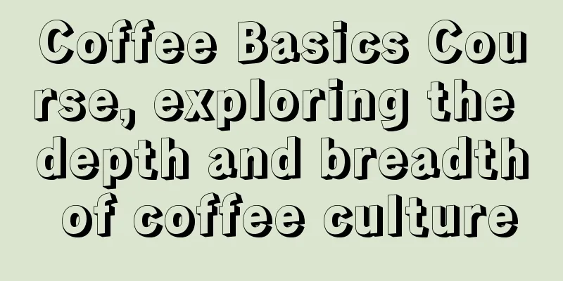 Coffee Basics Course, exploring the depth and breadth of coffee culture