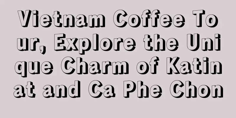 Vietnam Coffee Tour, Explore the Unique Charm of Katinat and Ca Phe Chon