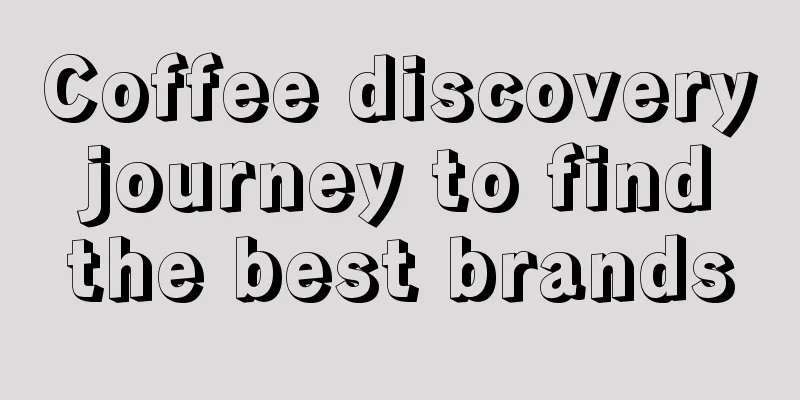 Coffee discovery journey to find the best brands