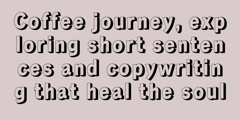 Coffee journey, exploring short sentences and copywriting that heal the soul