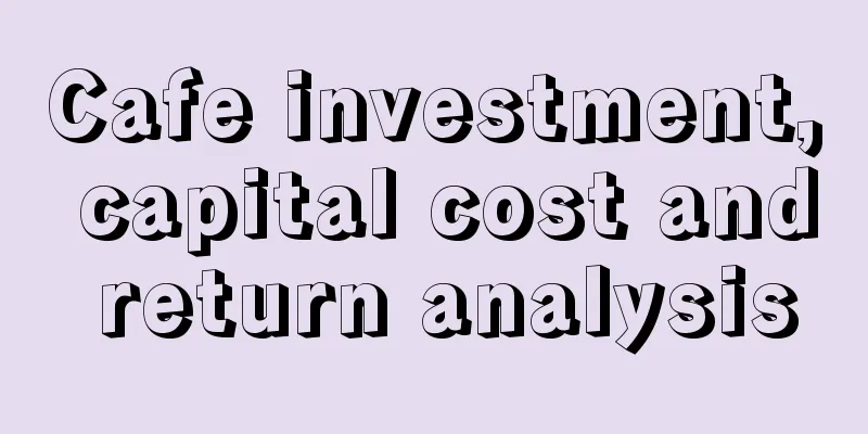 Cafe investment, capital cost and return analysis