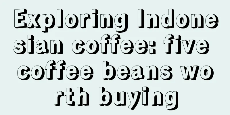 Exploring Indonesian coffee: five coffee beans worth buying