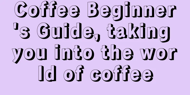 Coffee Beginner's Guide, taking you into the world of coffee