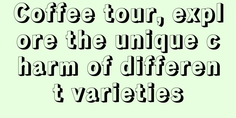 Coffee tour, explore the unique charm of different varieties