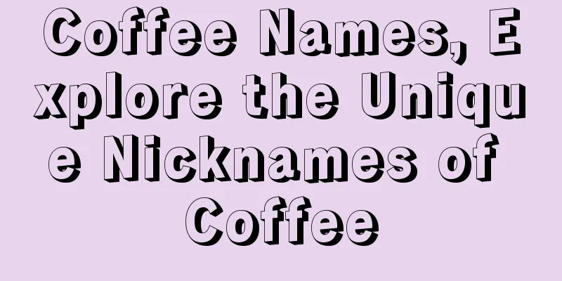 Coffee Names, Explore the Unique Nicknames of Coffee