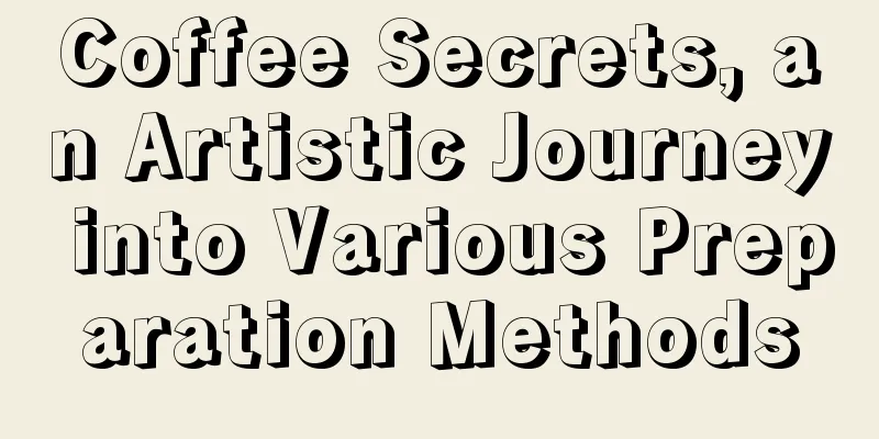 Coffee Secrets, an Artistic Journey into Various Preparation Methods